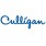 Culligan Water Filters