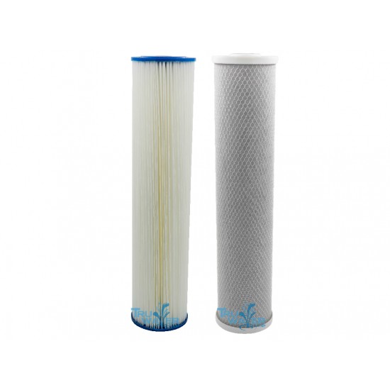 Twin Wholehouse Water Filter Set Pleated + CTO 20"