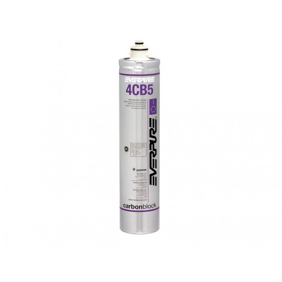 Everpure 4CB5-K Replacement Water Filter Cartridge EV9617-36