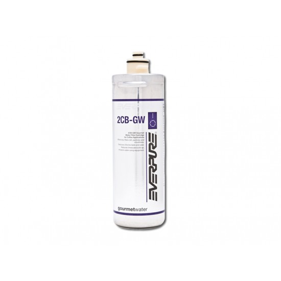 Everpure 2CB-GW Replacement Water Filter Cartridge EV9618-36
